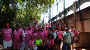 Leia mais sobre o artigo Idosos da ACOBEJA visitam Ecomuseu Natural do Mangue em Fortaleza